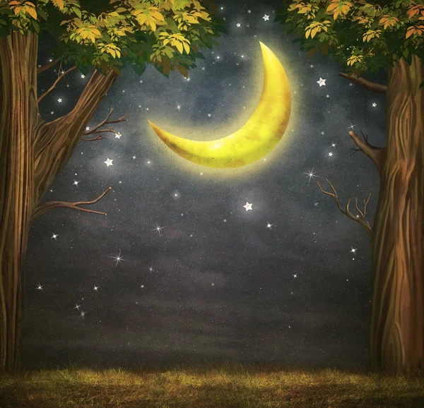 Illustrazione di foresta e luna fantastica con stelle — Foto Stock