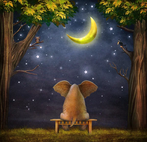 Illustration of a elephant on a bench in the night forest — Stock Photo, Image