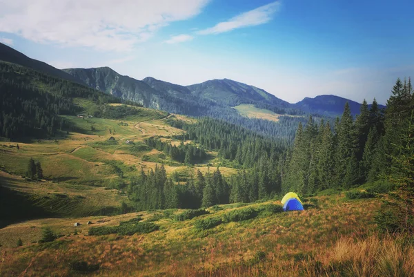 Sabah dağlarda. Karpat Mountai çadırda kamp — Stok fotoğraf