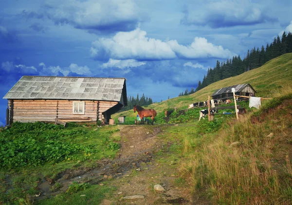 Tradiční horský dům na zelené louce v jedné vesnici v Carpat — Stock fotografie