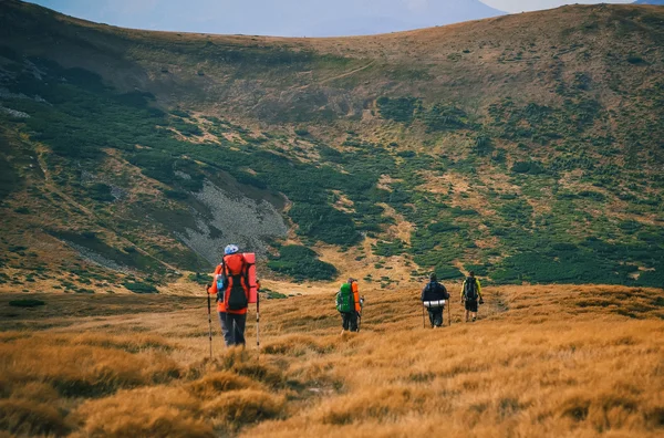 Grupo de excursionistas en las montañas, vista de las montañas Cárpatos —  Fotos de Stock