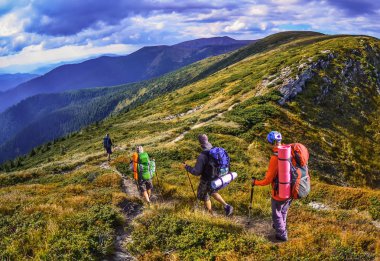 Group of hikers in the mountains, view of Carpathians mountains  clipart