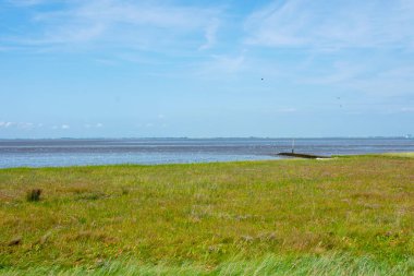 Burhave 'nin Kuzey Denizi kıyıları sular çekildiğinde