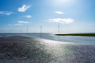Fedderwardersiel 'in Kuzey Denizi kıyıları Sabah sular çekildiğinde