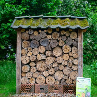 Hollanda 'daki Böcek Oteli