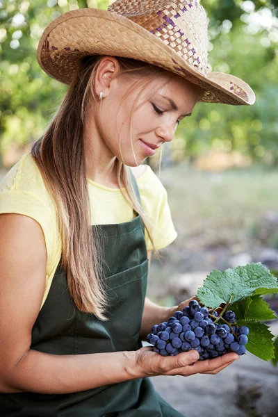 Woman with summer harvest — Stok fotoğraf
