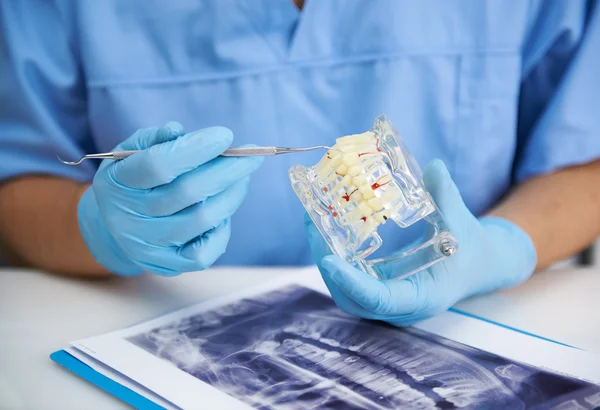 Dentista masculino no escritório — Fotografia de Stock