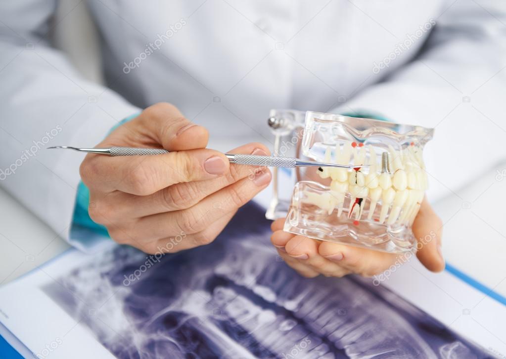 Female dentist in office