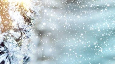 Noel ağacı arka planında kar taneleri