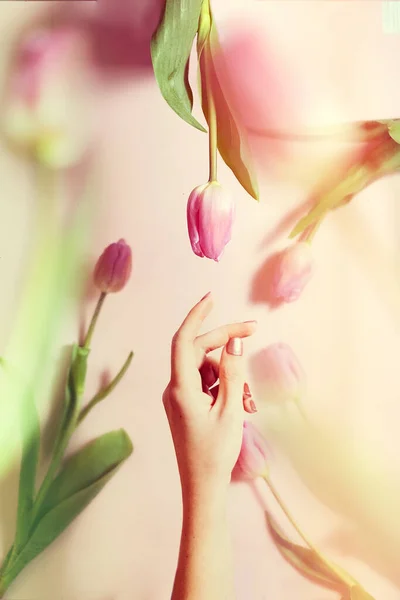 Букет тюльпанів левітація жінка рука — стокове фото
