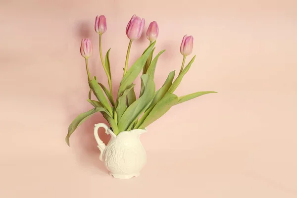 Букет тюльпанів на пастельному фоні — стокове фото