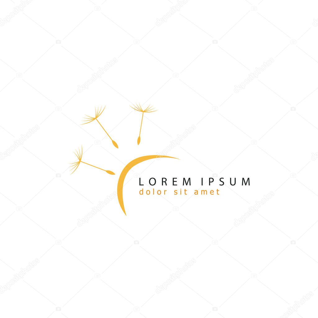 Dandelion logo template design. Vector illustration