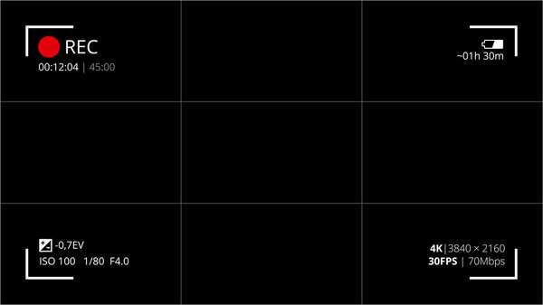 экран видоискателя камеры
