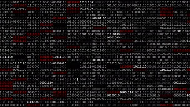 Pantalla de código binario — Vídeos de Stock