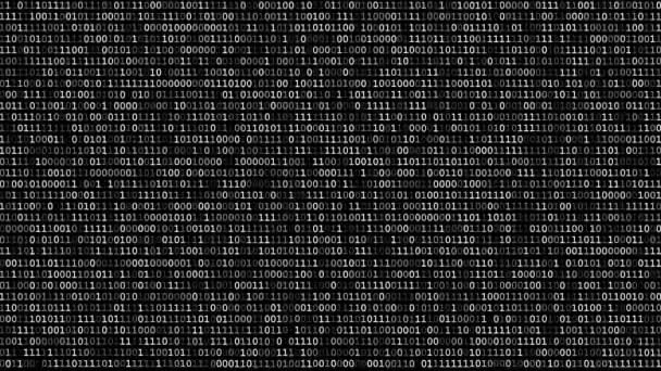 Pantalla de código binario — Vídeo de stock