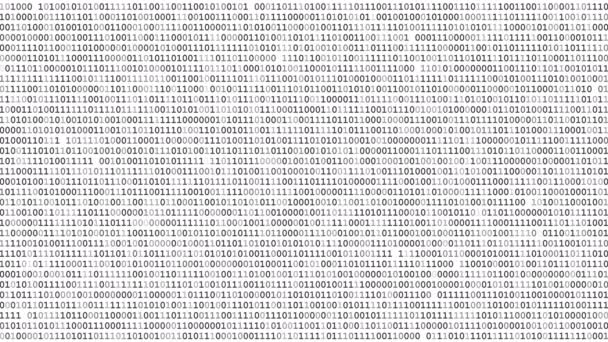 Pantalla de código binario — Vídeo de stock