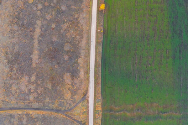 Caída y verde — Foto de Stock