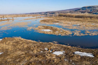 Düşen göl çimeni