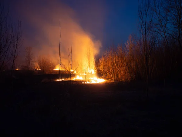 Польова пожежа ніч — стокове фото