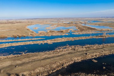 Düşen göl çimeni