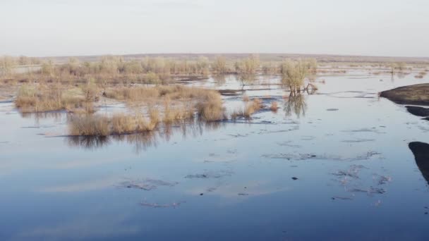 Überlauflandschaft im Frühling — Stockvideo