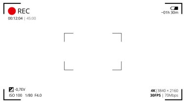 Video kamera görüntüleme portu