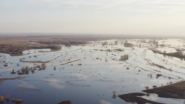 Våren svämmar över landskapet — Stockvideo