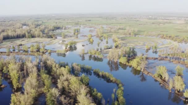 Jarní přetečená krajina — Stock video