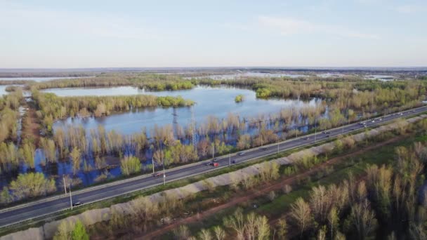 Estrada perto da floresta — Vídeo de Stock