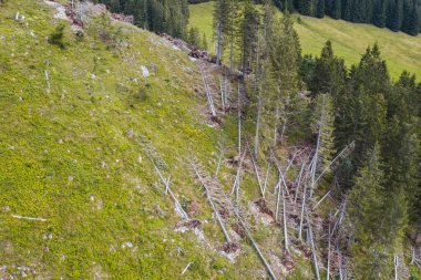 Alpler hava manzarası
