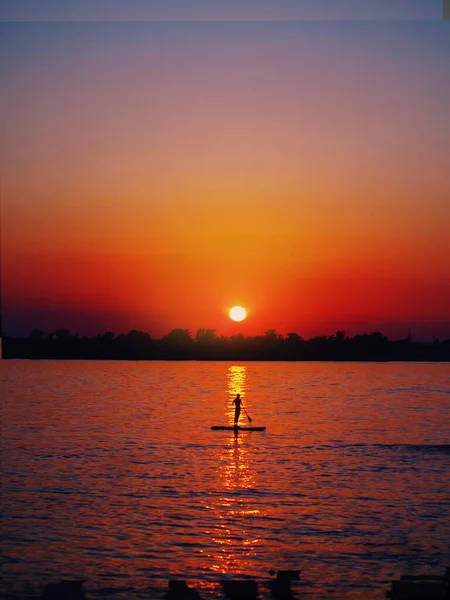 Sup surfing sunset — Stock Photo, Image