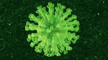 COVID-19 insan virüsü