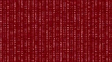 Bilgisayar Veri Hatası