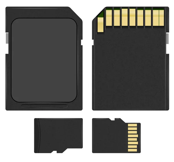 SD і microsd — стоковий вектор