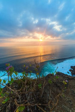 Bali suset
