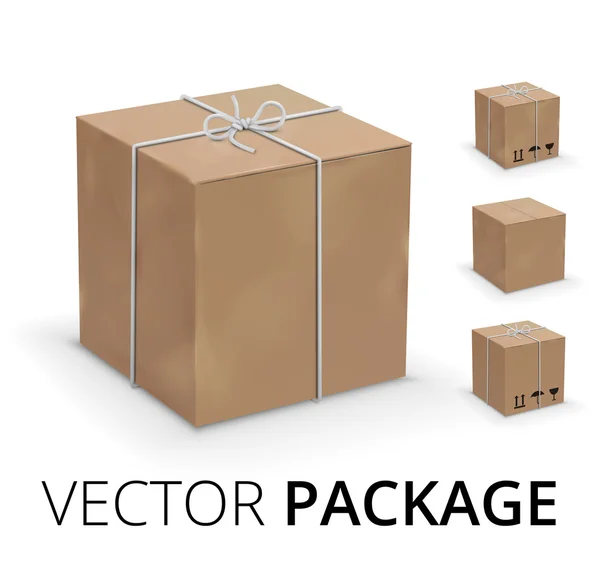 Упакованная коробка — стоковый вектор