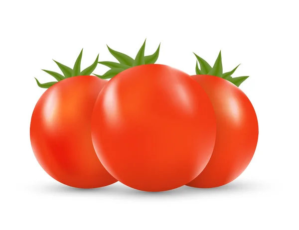 Tomate — Vetor de Stock