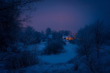 Kış orman ve evler