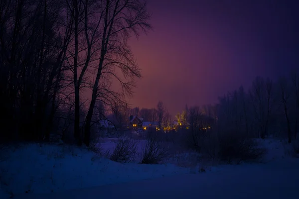Winter forest en huisjes — Stockfoto