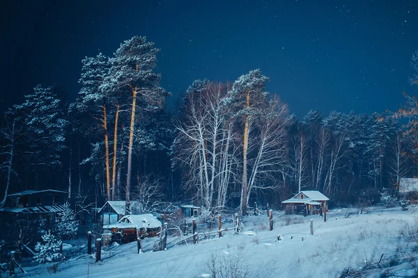 Zimowy Las i domki — Zdjęcie stockowe