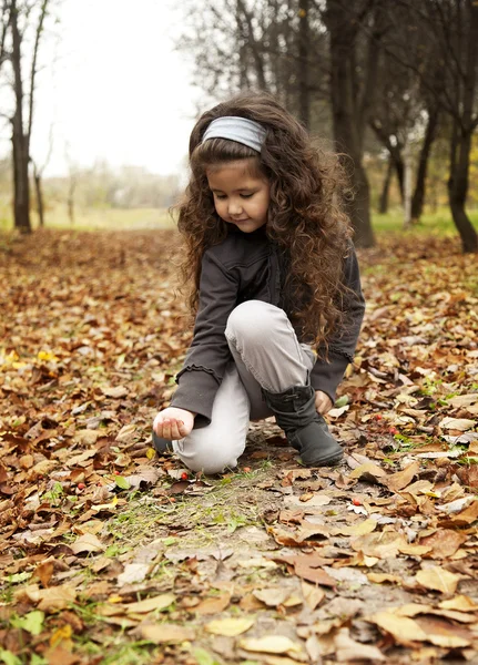 Pieni söpö tyttö tumma kihara tukka istuu syksyllä metsässä joukko lehtiä — kuvapankkivalokuva