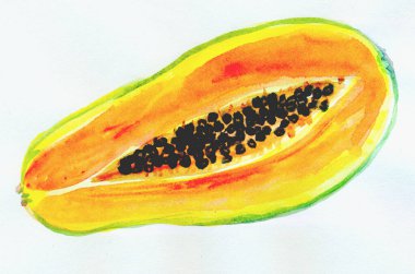 Carambola meyvesinin suluboya çizimi