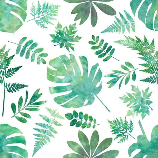 Σχέδιο Της Ακουαρέλας Πράσινα Φύλλα Της Τροπικής Ζούγκλας Φωτογραφία Αρχείου