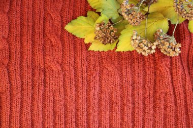 örgü ve idrar torbası dallarıyla örülmüş ekose.