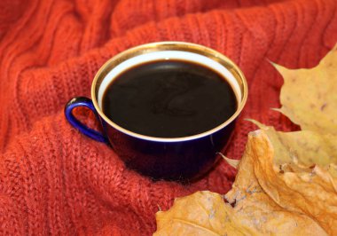 Örgü battaniye, kuru yapraklar ve bir fincan kahve.