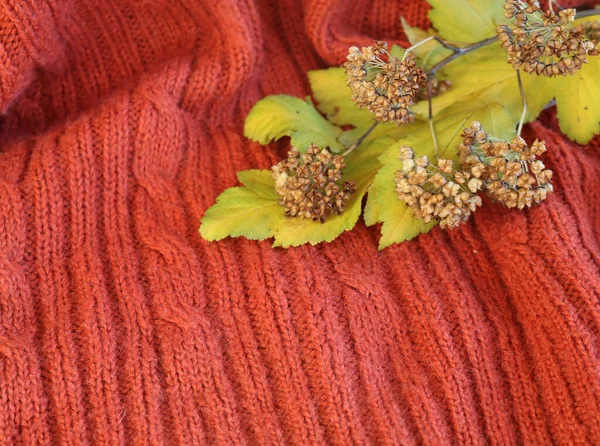 Plaid Knitted Braids Bladder Branch — Stock Photo, Image