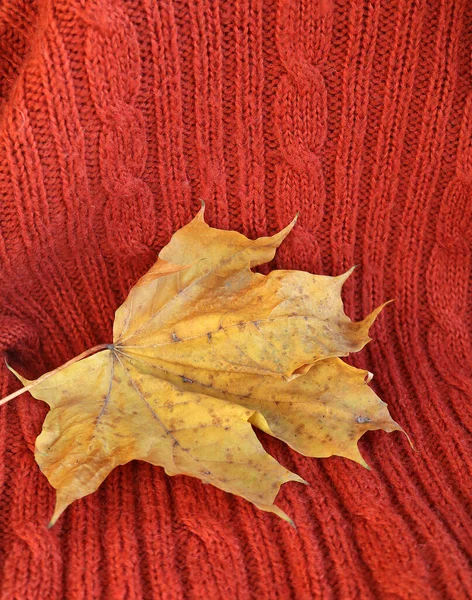 Plaid Tricoté Avec Des Tresses Des Feuilles Érable Sèches — Photo