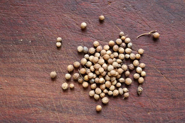 Coriander Seeded Vegetable Corindrum Sativum Herbaceous Plant Family Umbrella — Stock Photo, Image