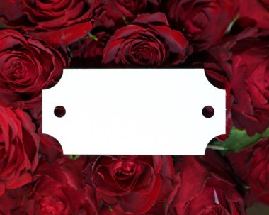 Beyaz etiketli koyu kırmızı güller. 