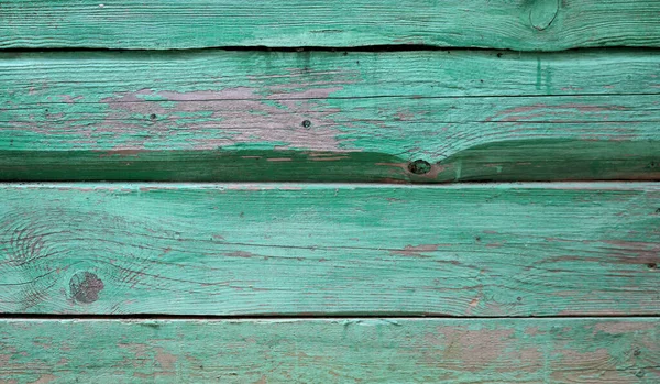 Textura Viejo Árbol Pintado — Foto de Stock